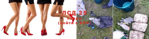 таблы Надым