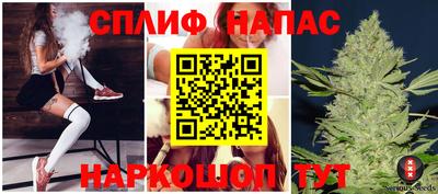 шишки Абинск