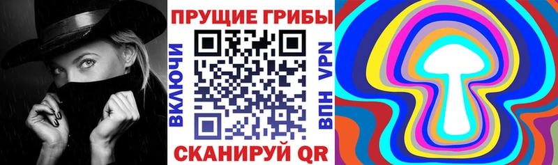 hydra ССЫЛКА  Мегион  Псилоцибиновые грибы мухоморы  цены наркотик 