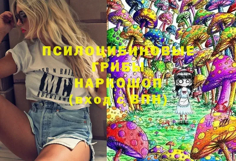 MEGA зеркало  Мегион  Галлюциногенные грибы Psilocybe  как найти  